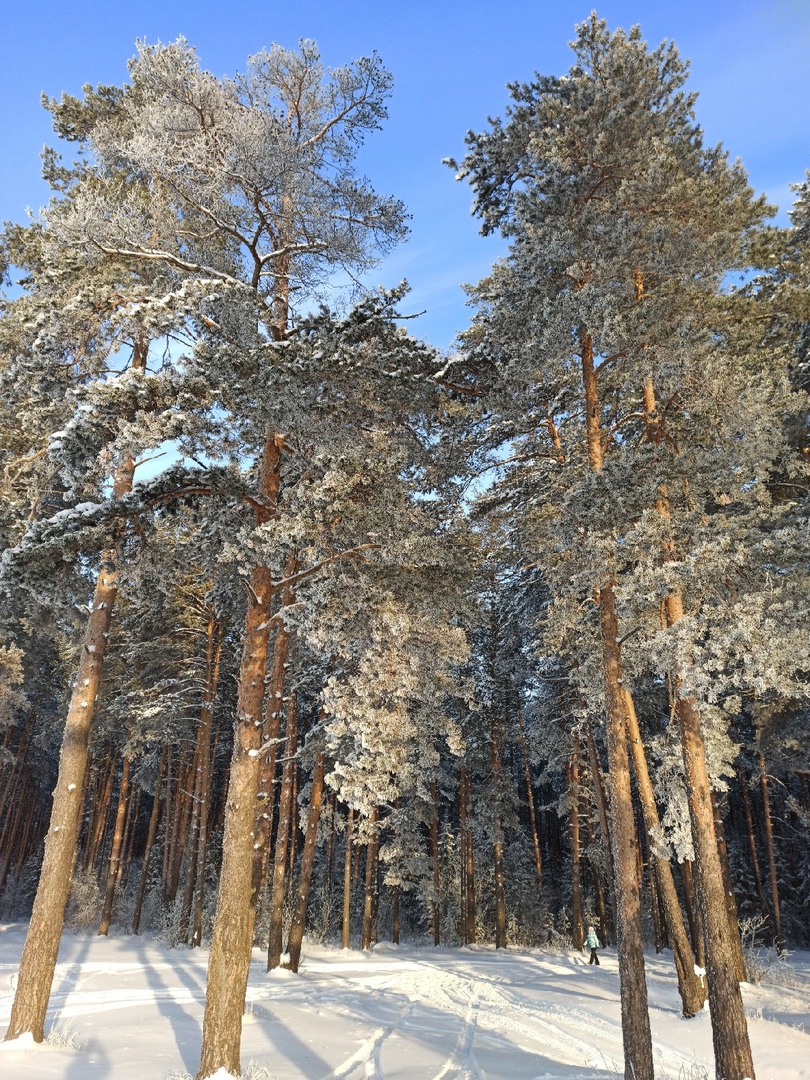 Фгос зима. Зимний Казань пейзажи фотографии. Зимнее фото Курского края. Красивые места в Красногорске для фото зимний пейзаж. Фото зимних пейзажей природы в Новодвинск.