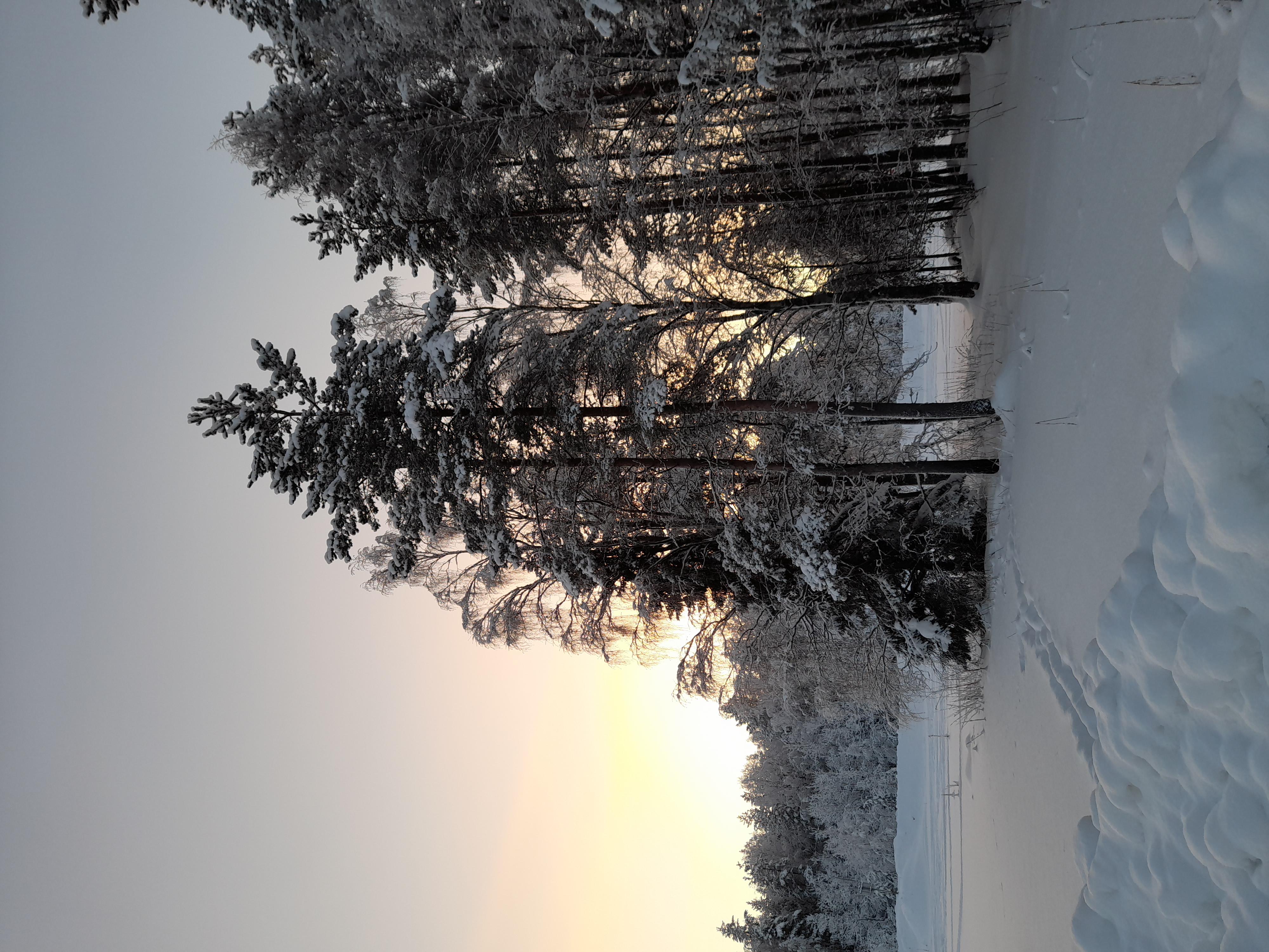 Блестя на солнце снег лежит